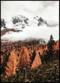 Miniatyrbild 1 av 2: MOLN ÖVER SKOGEN POSTER