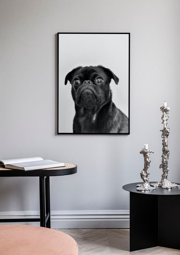 Bulldog Plakat