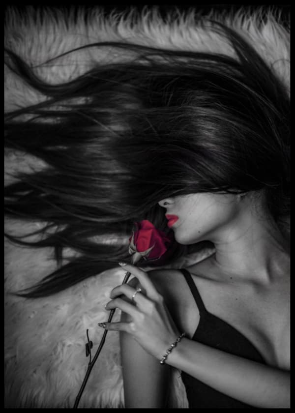 Red Rose No2 Poster
