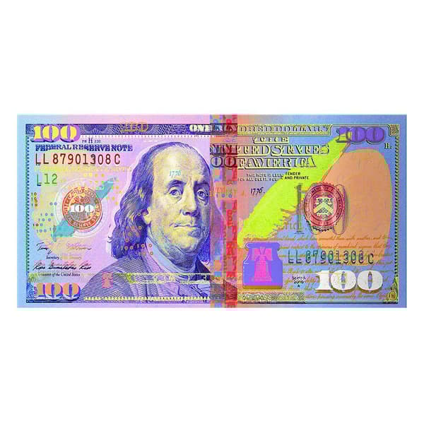 Lerretsposter, 50 x 100 cm - 100 dollar - Nr. 4