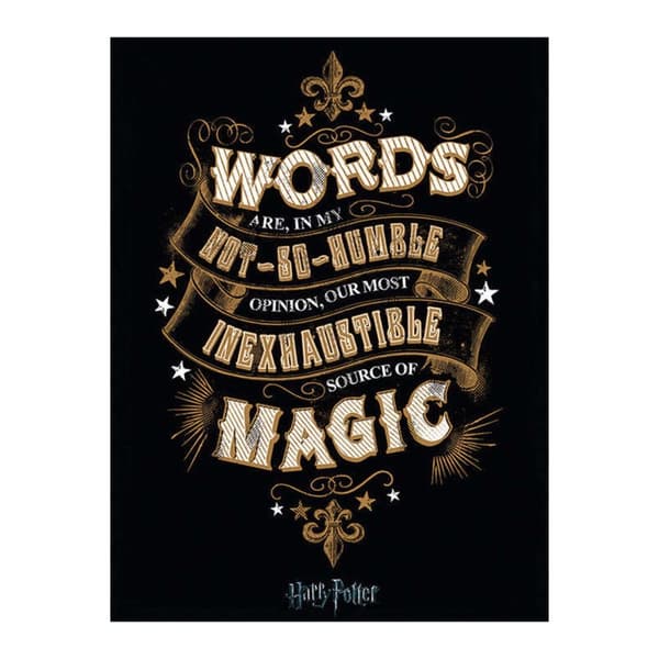 Harry Potter Words Canvas Print Black/White/Gold 80cm x 60cm