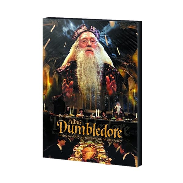 Harry Potter Dumbledore Canvas Print White/Black/Gold 50cm x 40cm