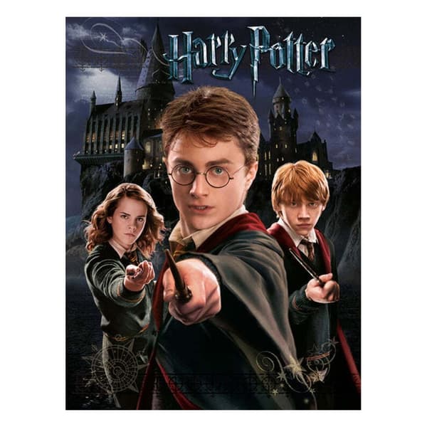 Harry Potter Canvas Print Black/Beige 40cm x 50cm