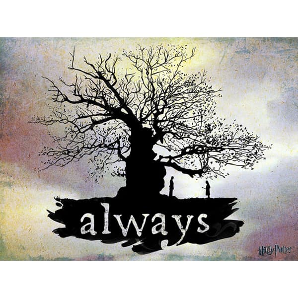 Harry Potter Always Canvas Print Multicoloured 80cm x 60cm