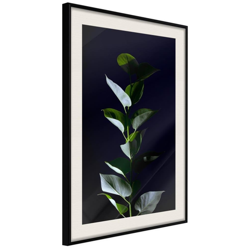 Inramad Poster / Tavla - Floral Elegance