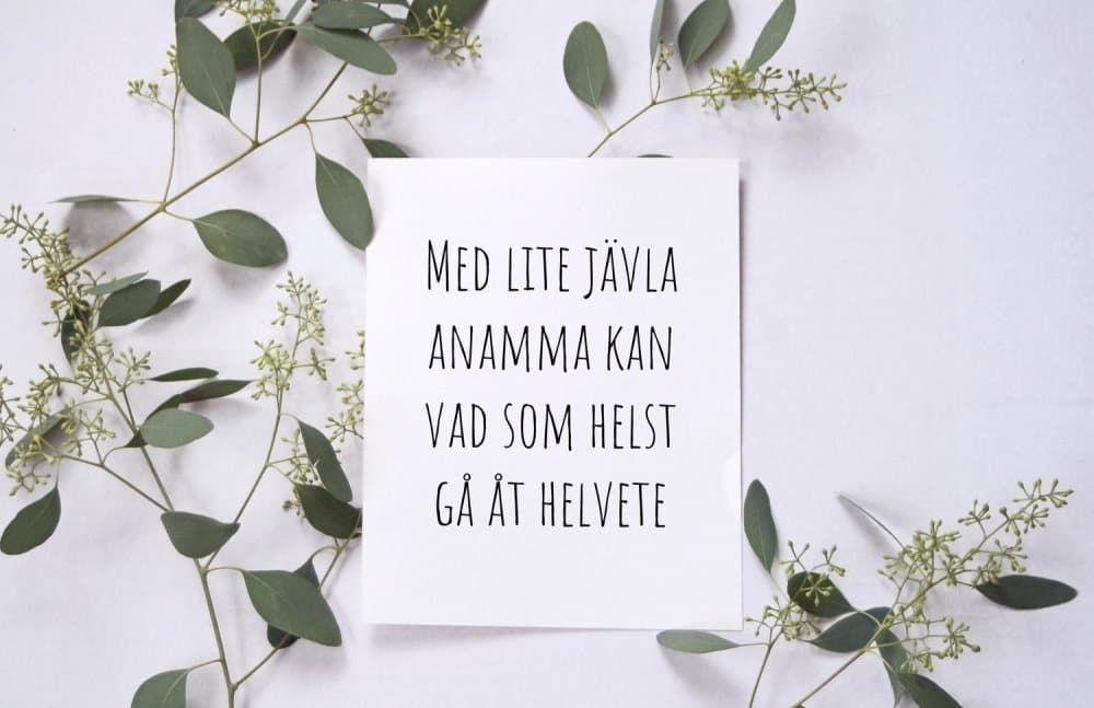 Med lite jävla anamma a4 rolig poster