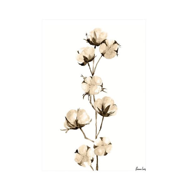 Rosana Laiz Akvarelltryck av bomullsgren Brown/White 40cm x 30cm