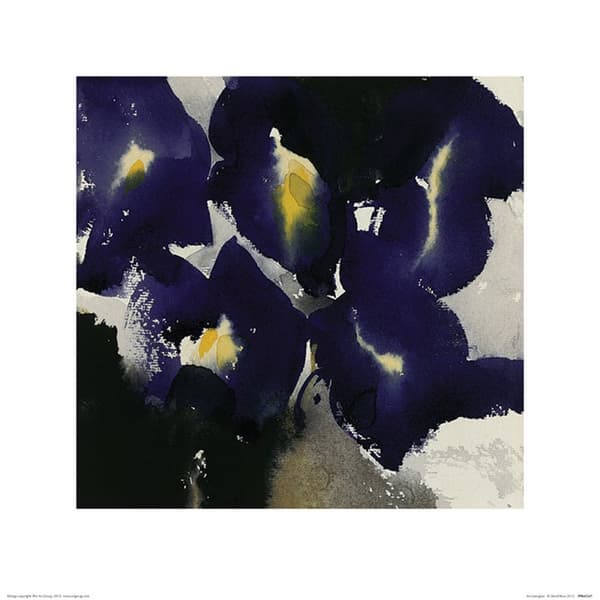 Joanna Srokol Bitter Sweet Print Black/Brown 40cm x 40cm