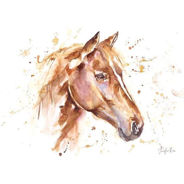Jennifer Rose Glorious Horse Framed Canvas Print Brown/White 30cm x 40cm