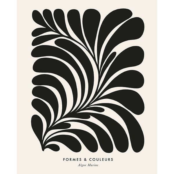 Dominique Vari Algue Marine lærred print Black/White 40cm x 30cm