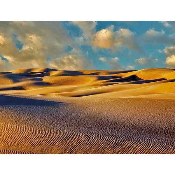 Dennis Frates Oregon Dunes At Sunset Canvas Blue/Brown/White 80cm x 60cm