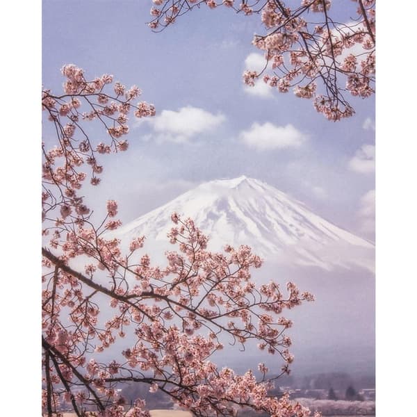 Makiko Samejima Mount Fuji kirsebærblomst på lærred Pink/White 50cm x 40cm