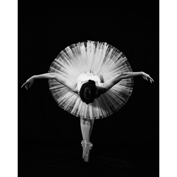 Pyramid International Finale Canvas Print Black/White 50cm x 40cm