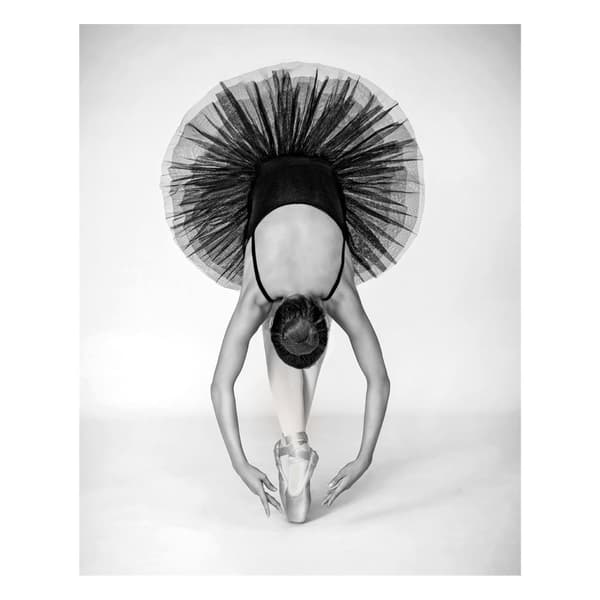 Pyramid International Ballet teknik lærred print