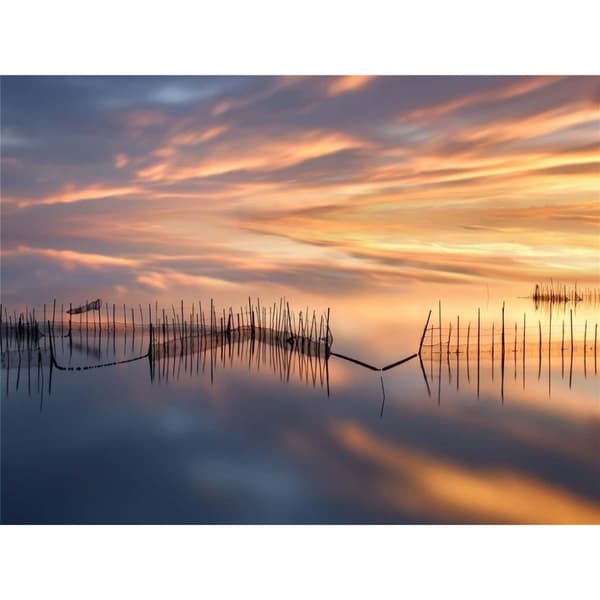 Pyramid International Fish Nets Canvas Print