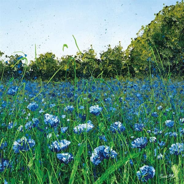 Siobhan McEvoy Cornflower Meadow Canvas Print