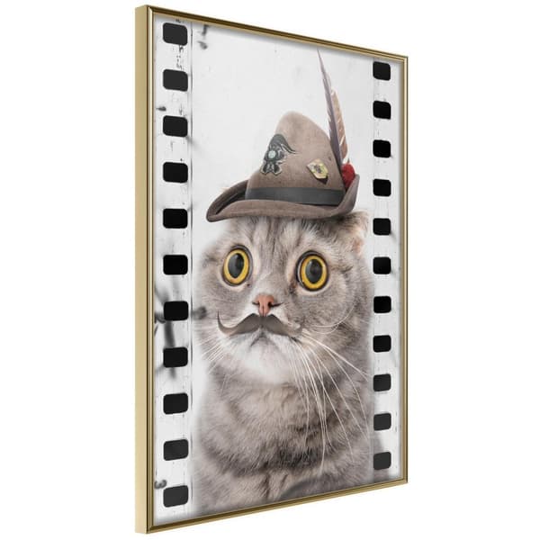 Inramad Poster / Tavla - Dressed Up Cat