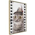 Miniatyrbild 1 av 9: Inramad Poster / Tavla - Dressed Up Cat