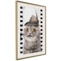 Miniatyrbild 1 av 9: Inramad Poster / Tavla - Dressed Up Cat