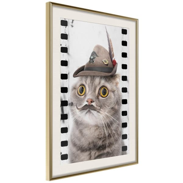 Inramad Poster / Tavla - Dressed Up Cat