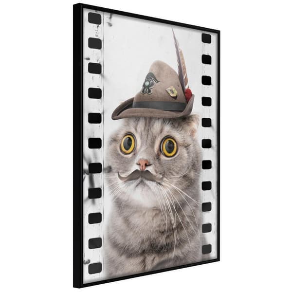 Inramad Poster / Tavla - Dressed Up Cat