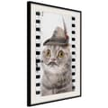 Miniatyrbild 1 av 9: Inramad Poster / Tavla - Dressed Up Cat
