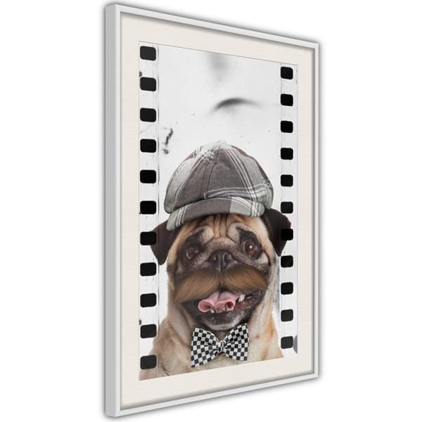 Inramad Poster / Tavla - Dressed Up Pug