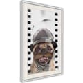 Miniatyrbild 1 av 9: Inramad Poster / Tavla - Dressed Up Pug