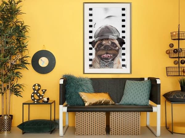 Inramad Poster / Tavla - Dressed Up Pug