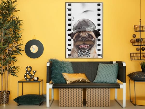 Inramad Poster / Tavla - Dressed Up Pug