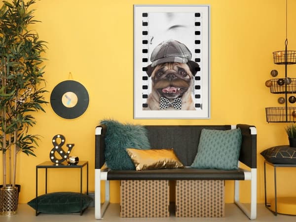 Inramad Poster / Tavla - Dressed Up Pug