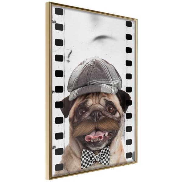 Inramad Poster / Tavla - Dressed Up Pug Guldram 40x60