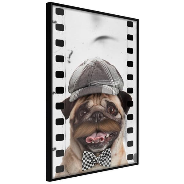 Inramad Poster / Tavla - Dressed Up Pug