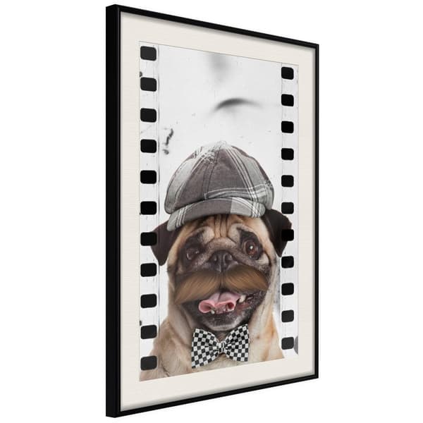 Inramad Poster / Tavla - Dressed Up Pug
