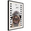 Miniatyrbild 1 av 9: Inramad Poster / Tavla - Dressed Up Pug