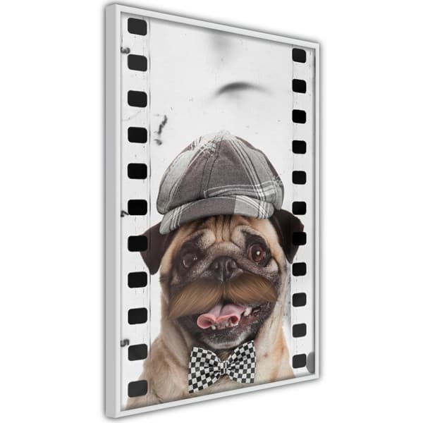 Inramad Poster / Tavla - Dressed Up Pug