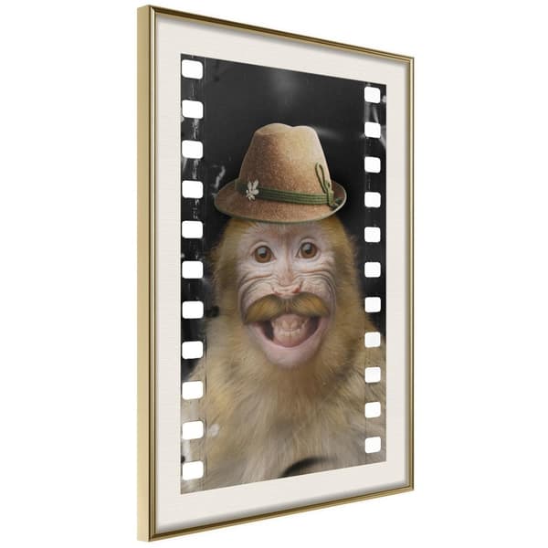 Inramad Poster / Tavla - Dressed Up Monkey