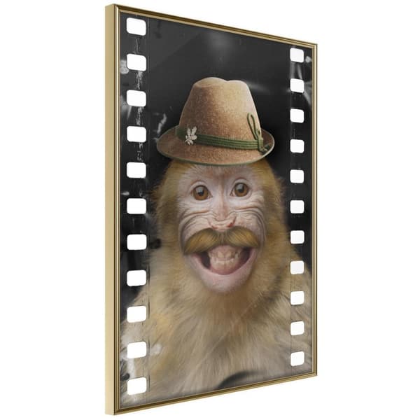 Inramad Poster / Tavla - Dressed Up Monkey