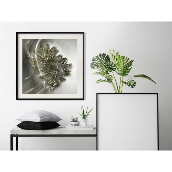 Inramad Poster / Tavla - Leaves of the Tree of Wisdom