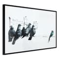 Miniatyrbild 1 av 9: Inramad Poster / Tavla - Banksy: Pigeons