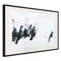 Miniatyrbild 1 av 9: Inramad Poster / Tavla - Banksy: Pigeons