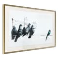 Miniatyrbild 1 av 9: Inramad Poster / Tavla - Banksy: Pigeons