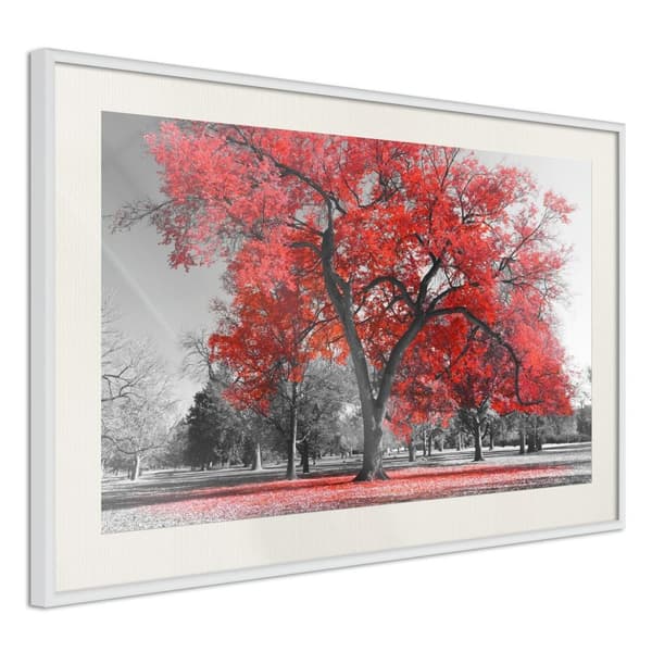 Inramad Poster / Tavla - Red Tree