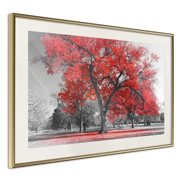 Inramad Poster / Tavla - Red Tree