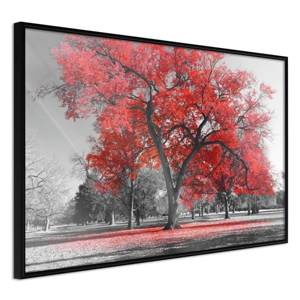 Inramad Poster / Tavla - Red Tree