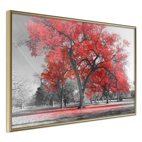 Inramad Poster / Tavla - Red Tree