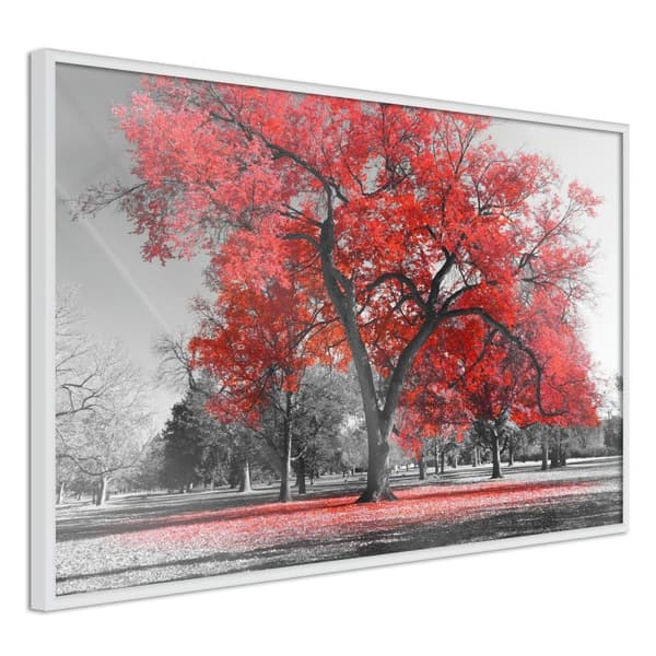 Inramad Poster / Tavla - Red Tree