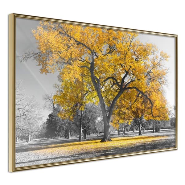 Inramad Poster / Tavla - Golden Tree