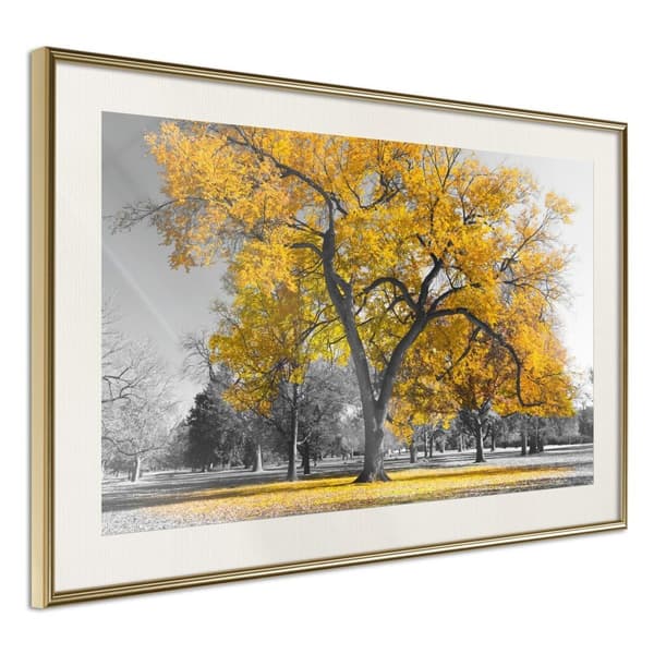 Inramad Poster / Tavla - Golden Tree