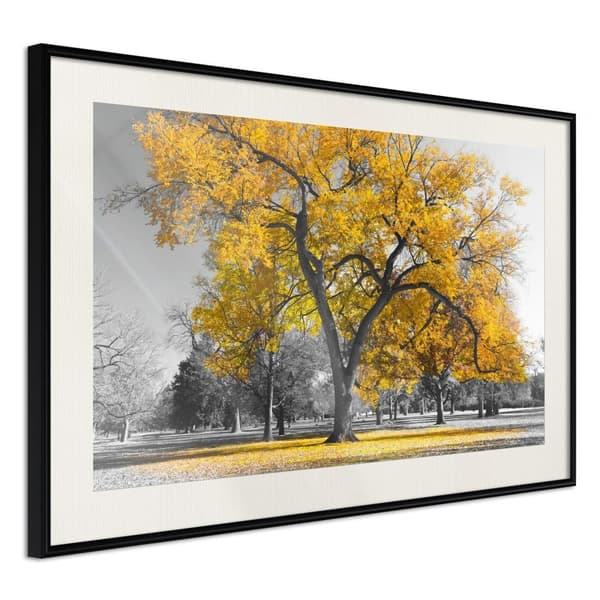 Inramad Poster / Tavla - Golden Tree